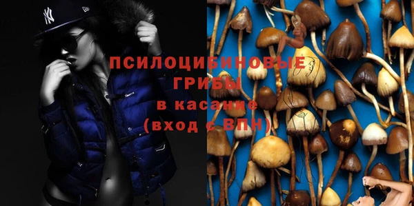 apvp Лиски