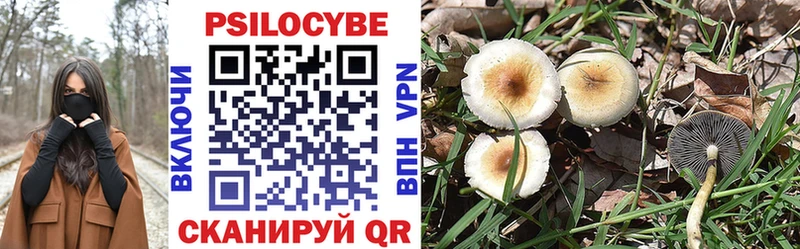 Купить закладки  Холмск  Галлюциногенные грибы Cubensis 